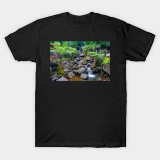 Philippine Highlands T-Shirt